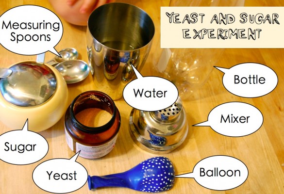 yeast experiment