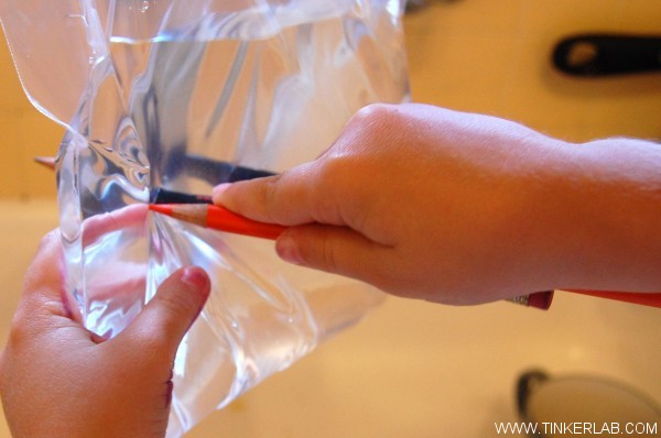 leak proof plastic bag experiment