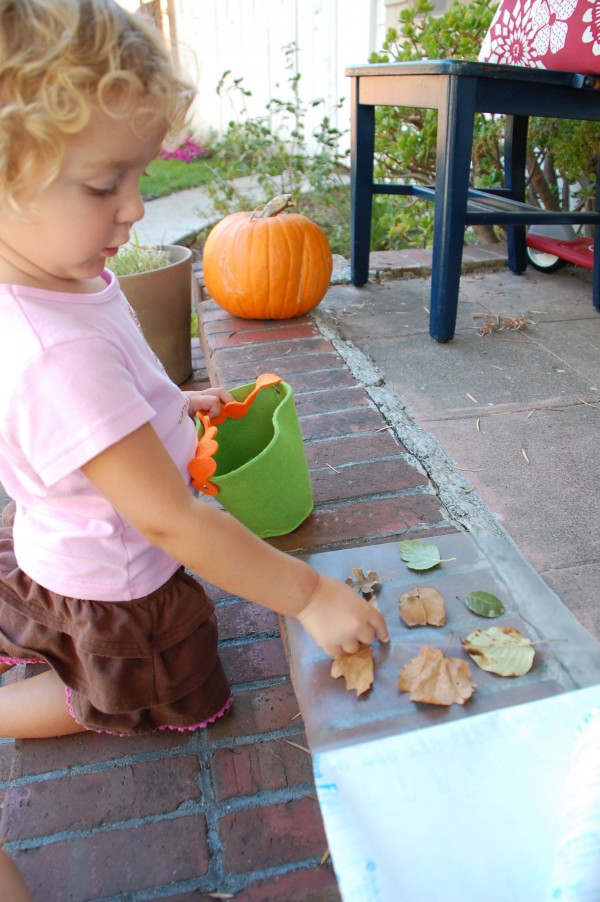 Make leaf collage with a toddler