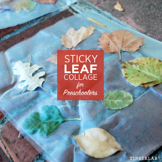 Leaf Collage for Preschool