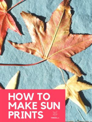 how to make sunprints
