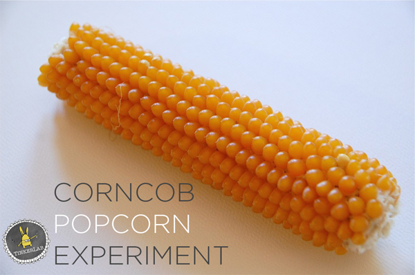 Corncob Popcorn Experiment :: Tinkerlab