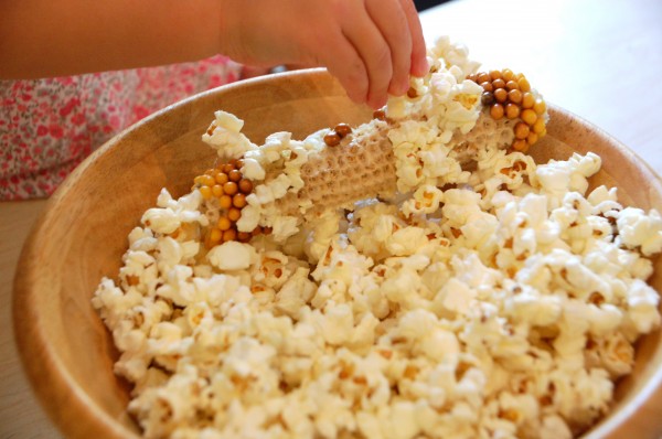Corncob Popcorn Experiment