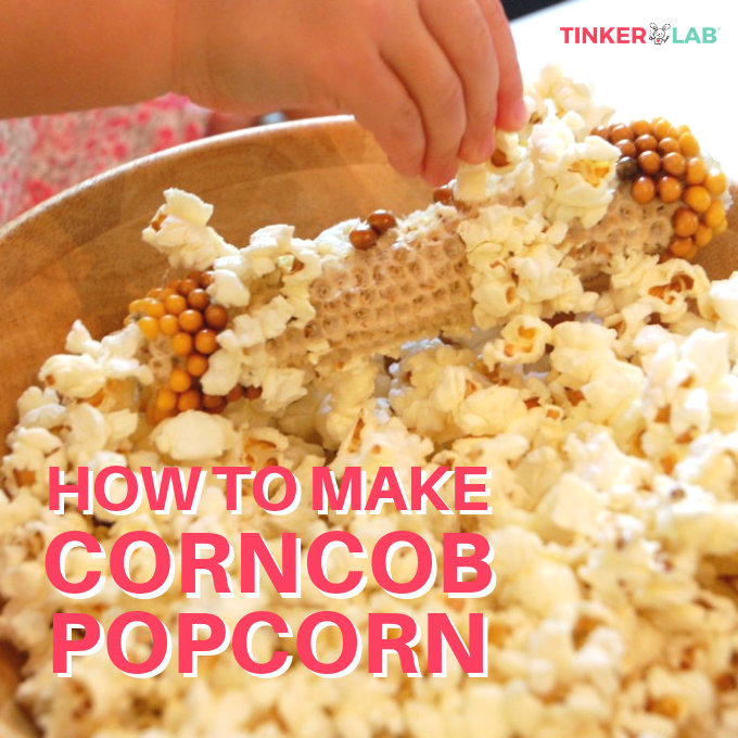 Popcorn Cob How To Pop Popcorn From A Cob TinkerLab Popcorn Cob How To Pop Popcorn From A Cob TinkerLab
