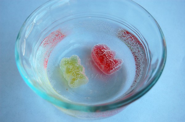growing gummy bear experiment