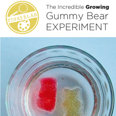 growing gummy bear experiment