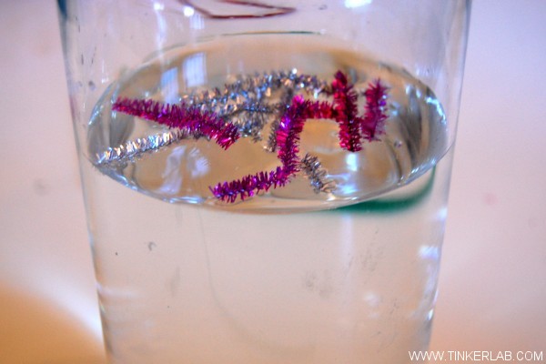 pipe cleaners in water experiment