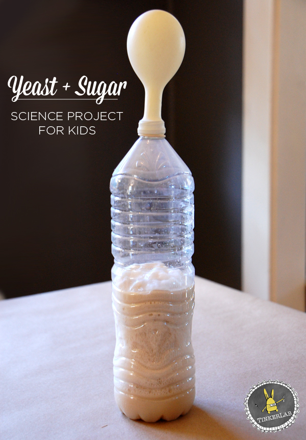 Science Projects for Kids | Yeast and Sugar Experiment