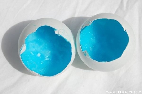 How to make egg geodes with borax.