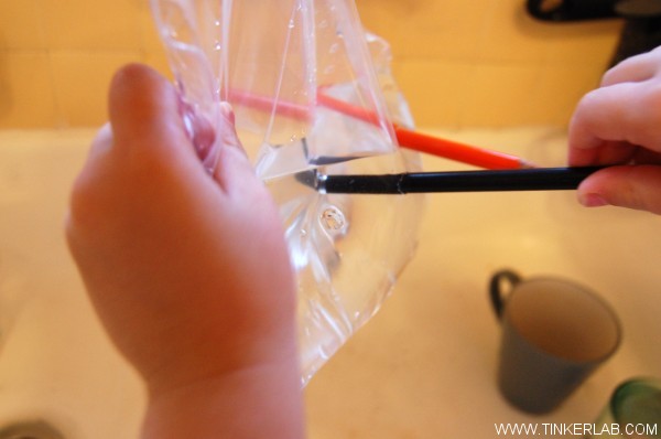 Magical Plastic Bag Experiment | TinkerLab