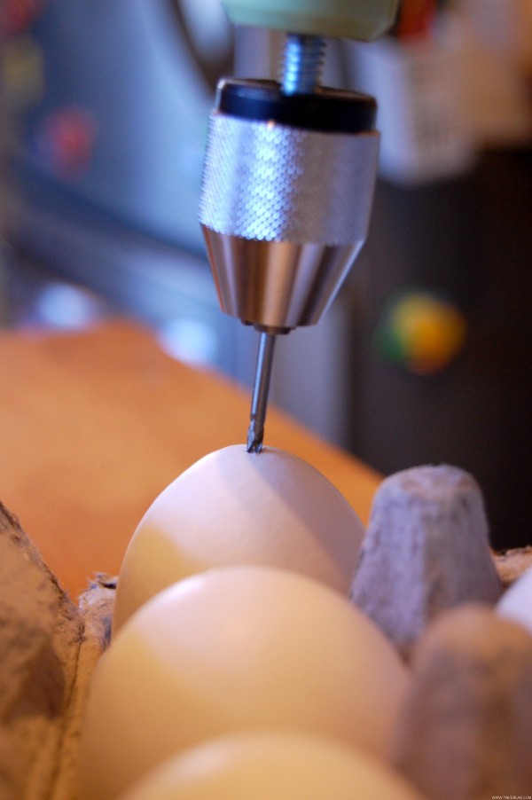 How to blow out an egg | TinkerLab