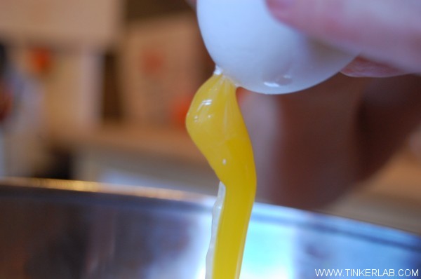 How to Blow out an Egg | TinkerLab