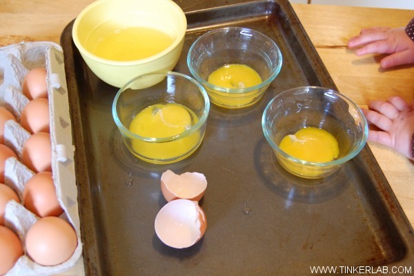 make egg tempera paint with kids