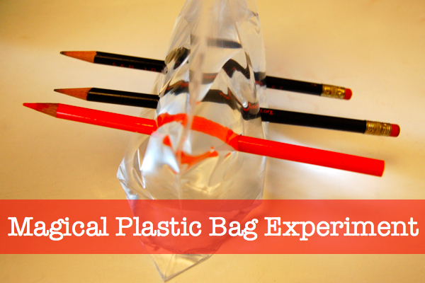 Magical Plastic Bag Experiment | TinkerLab