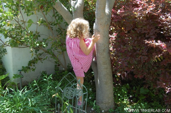 tree climbing kids