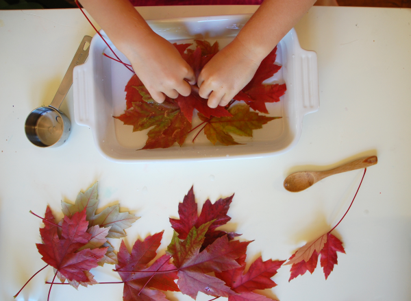 fall crafts: glycerin leaves