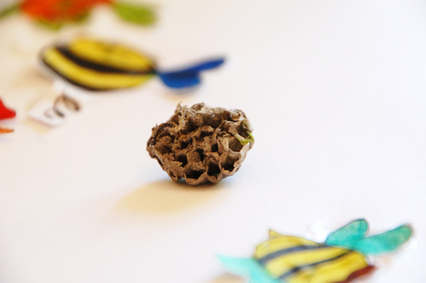Inspired by Nature: wasp nest and bumble bee art