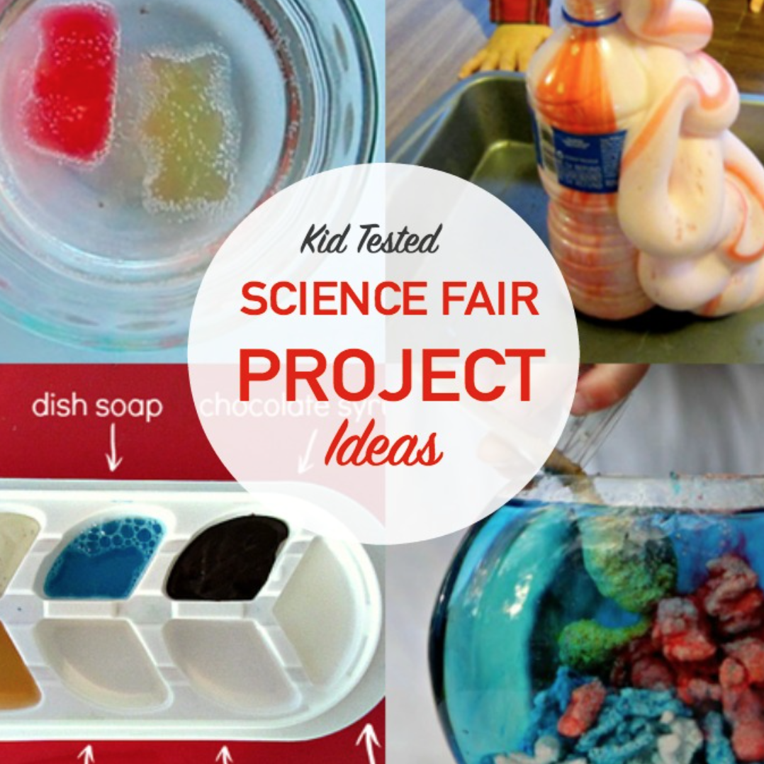 science fair project ideas