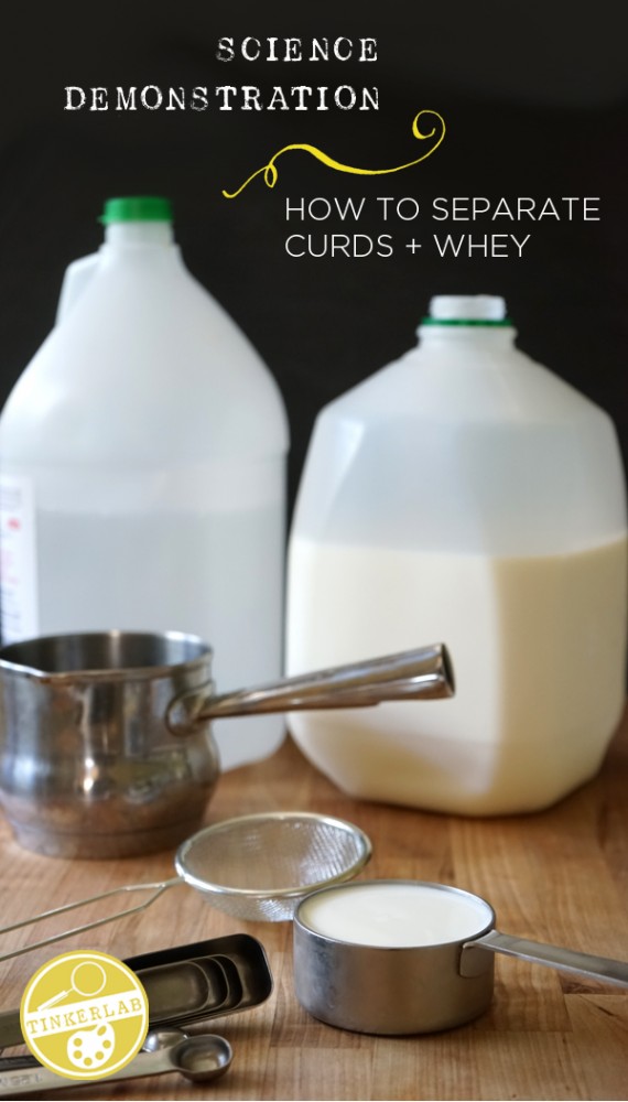 Science Demonstration: How to Make Curds and Whey  | TinkerLab