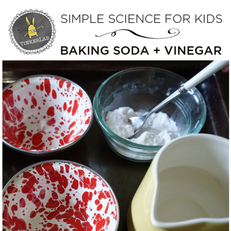 fun science experiments: vinegar and baking soda