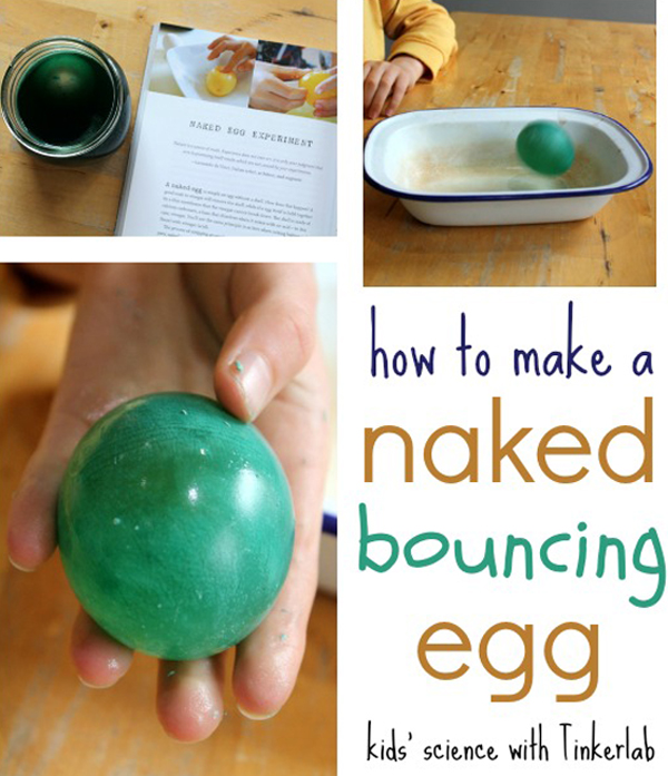 Rainbow Rubber Eggs Naked Egg Experiment