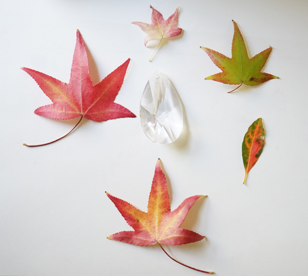 Fall Craft Ideas | Leaf Drawing  | TinkerLab
