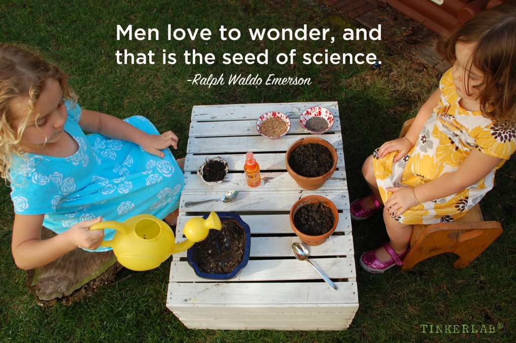 men love to wonder and that is the seed of science emerson