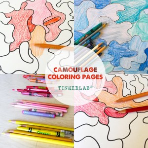 Camouflage Coloring Pages on TinkerLab