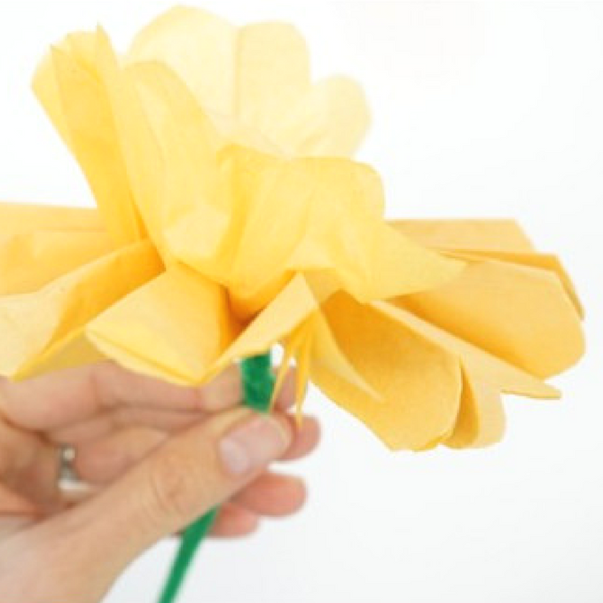 how to make tissue paper flowers cut edges