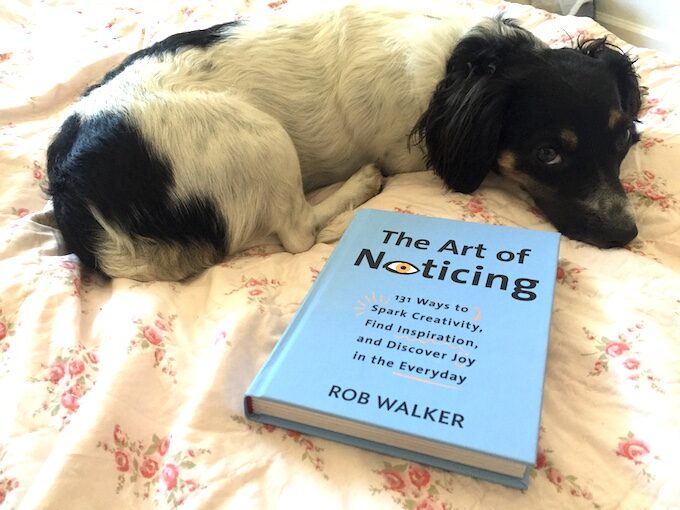 the art of noticing - two projects and a book review