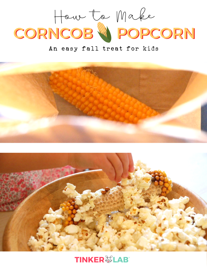 Popcorn Cob How To Pop Popcorn From A Cob TinkerLab Popcorn Cob How To Pop Popcorn From A Cob TinkerLab